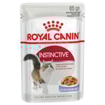 Royal Canin Instinctive i gelé - 96 x 85 g