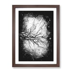 Tree Branches In Central Park New York Paint Splash Modern Framed Wall Art Print, Ready to Hang Picture for Living Room Bedroom Home Office Décor, Walnut A4 (34 x 25 cm)