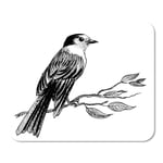 Mousepad Computer Notepad Office Animal Bird on Tree Ink Black and White Beautiful Home School Game Player Computer Worker Inch