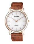 Citizen Stiletto Men's Watch Ar1133-15a New Product