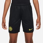 Nike Inter Hemmashorts 2023/24 Barn - adult DX2785-010