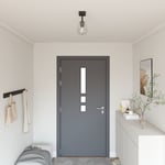 Taklampor med Justerbar Glaskupol Antracit E27
