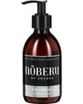 Hair Shampoo Amber-Lime 250ml