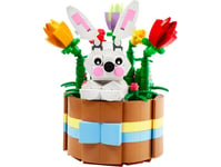LEGO Easter Basket 40587, Brown