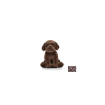 Living nature - Chocolate Labrador Puppy