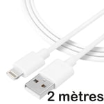 Cable lightning compatible pour Apple iPhone 6s longueur 2m