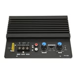 Fk 206 12V Digital Amplifier Board High Power Sub Woofer Amplifier Board Hot REL