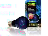 Exo Terra Light Bulb Night Heat Lamp, 150W