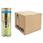 Head Padel Pro S Extra Durability - Låda (24 rör)