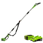 Greenworks Battery Tall Push Button G40PS20K2 (Li-Ion 40 V 20 cm Sword Length 8 m/s Chain Speed Telescopic auxiliary Pole 3-Piece Including 2 Ah Battery and Charger)