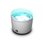 Cameo DROP B4 WH Outdoor Uplight Battery Powered