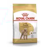 Royal Canin Poodle Adult