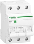 Schneider Electric R9F28325 Dvärgbrytare 3-polig, 440 V 25 A
