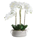 Hill Interiors Orchid In Stone Pot One Size Vit