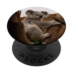 adorable petit koala ours australie cadeau nature maman ours PopSockets Support et Grip pour Smartphones et Tablettes