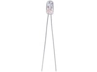 Barthelme 00901520 Micro Glödlampa 12 V 0,24 W T1 1/4 Clear 1 St