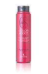 Lendan LD Color Addict Shampooing protecteur de la couleur – 300 ml