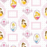Disney Princess Royal Frames Wallpaper Childrens Bedroom Nursery Pink White Kids