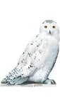 Hedwig Harry Potter Star Mini Cardboard Cutout 74cm