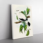 Torres Strait Fruit Pigeon Bird By Elizabeth Gould Vintage Canvas Wall Art Print Ready to Hang, Framed Picture for Living Room Bedroom Home Office Décor, 76x50 cm (30x20 Inch)