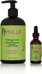 Mielle / Rosemary Mint Strengthening / Leave-In Conditioner / Scalp Oil / ( Pack