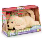 Happy Pets Roll Over Hundvalp