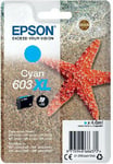 Epson Starfish 603xl Cyan Ink Cartridge C13t03a24010