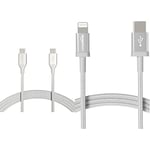 Amazon Basics Câble en nylon à double tressage USB de type C vers port de type C 2.0, 3 m, Argenté & Câble USB-C vers Lightning en nylon tressé, chargeur pour iPhone 13/12/11/X/XS/XR/8 - argenté, 1,8m