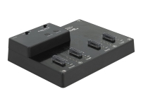 Delock - SSD-dockningsstation med kloningsfunktion - fack: 4 - M.2 - M.2 NVMe Card - USB 3.2 (Gen 2) - svart