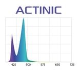 Leddy Led Slim Actinic Svart
