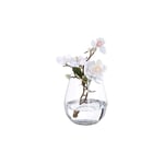 Blomvas i glas