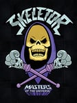 Masters of the Universe (Skeletor 60 x 80 cm Toile Imprimée