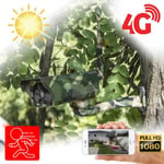 Caméra camouflage solaire 3G 4G IP Wi-Fi extérieure HD 1080P détecteur de mouvement PIR vision nocturne et Notifications Push 64 Go