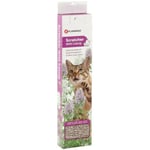 Kattklös i wellpapp med catnip