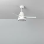 Techbrey - Ventilateur de Plafond Silencieux Industriel Blanc 91cm Moteur dc 165º