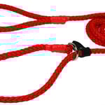 Retriverkoppel Nylon röd Alac 10mm x180 cm