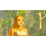 The Legend of Zelda: Breath of the Wild for Nintendo Switch Video Game
