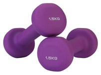 Shengluu Weights Dumbbells Sets Women Rubber Dumbbell Weights For Women And Men (Color : Purple, Size : 2KG)