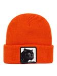 Panther Vision Beanie Orange