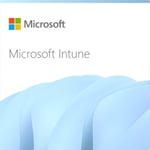 Microsoft Intune Plan 1 Storage Add-On - årligt prenumeration (1 år)