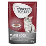 48 x 85 g Concept for Life vådfoder til særpris! - Maine coon adult (Ragout kvalitet)