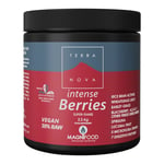 TERRANOVA Magnifood Intense Berries Super-Shake - 224g Powder