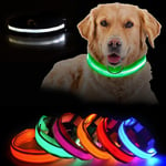 LED Hundhalsband Uppladdningsbar / Reflex & Halsband för Hund