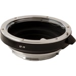 Urth Lens Adapter Canon (EF / EF-S) Lens to Leica M Mount