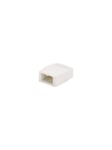 PANDUIT Mini-com Pinta mount box Valkoinen