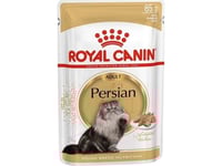 Royal Canin Persian Karma Dla Kota Ryby Pasztet 85G