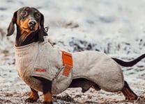 Siccaro - Wetdog Classic Supreme 2.0: 70 / Elmwood