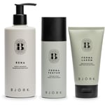 Björk Styling Bundle Purifying Shampoo 300 ml & Texture Spray 200 ml &