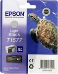 Epson Stylus Photo R3000 Ink Cartridge - Light Black