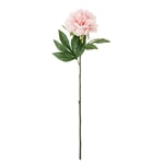 Bloomingville Pion Konstgjord Blomma Rosa